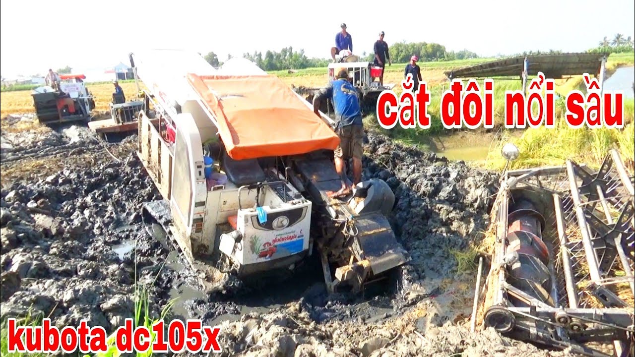 MÁY CẮT LÚA KUBOTA DC105X LẦY VUÔNG TÔM PHẢI RỚT HÀM