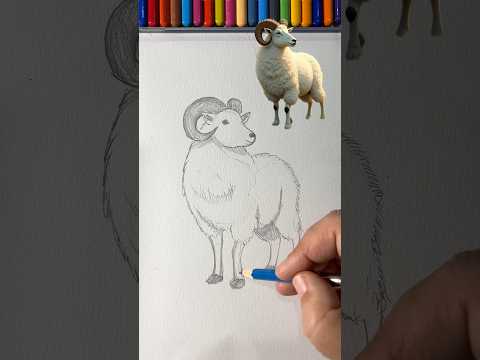 كيف رسم خروف العيد بأقلام رصاص بكل سهولة!؟ #drawing #art #رسم