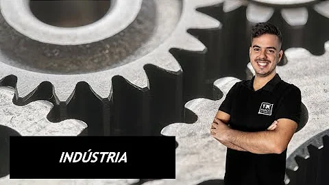 Qual a definição de organização industrial?