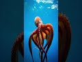 You only have 1 heart… this animal has 3 😳Octopus with three Heart