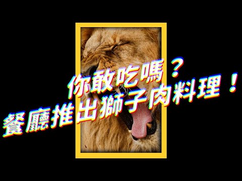 你敢吃嗎？餐廳推出獅子肉料理！｜志祺七七 #shorts