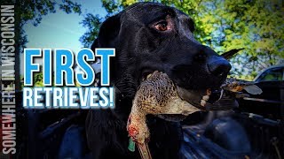 Last Hunt Of Early Teal Duck Hunting 2019