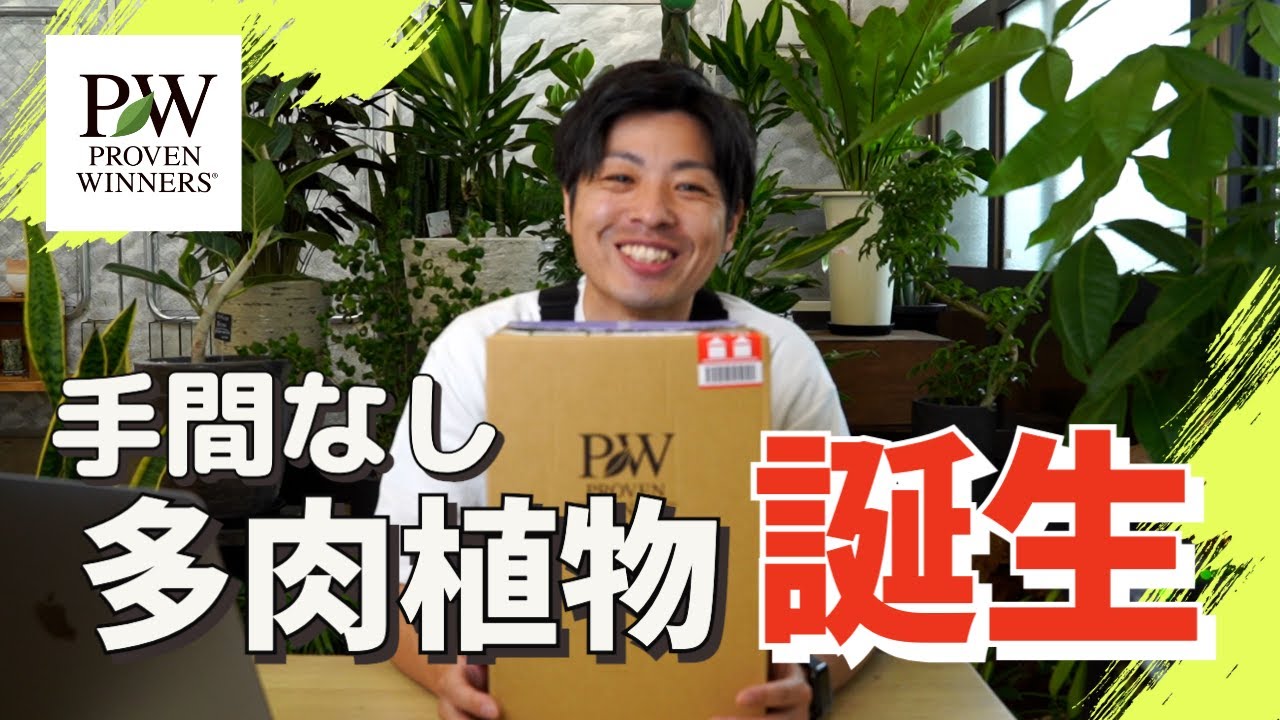 PWアンバサダー】アガベでなければ、マンフレダでもない種別を超越した