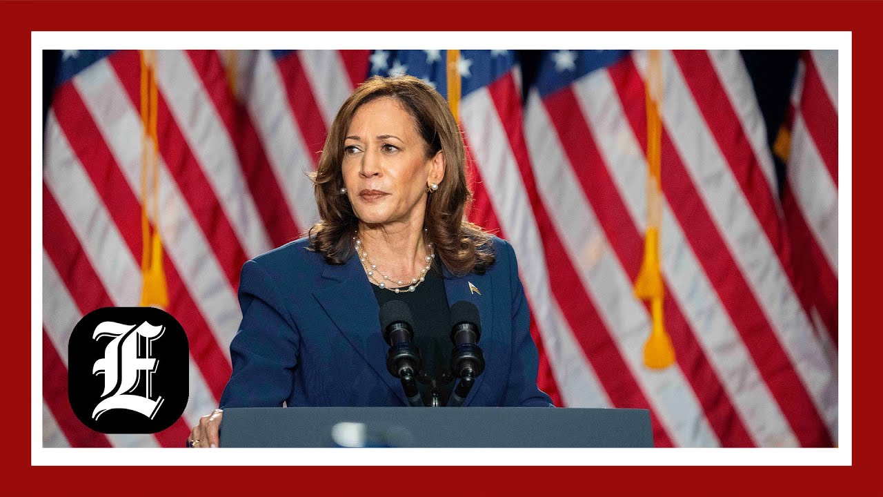 Political Perspectives: Do Democrats still stand by being the 'savior of democracy?'