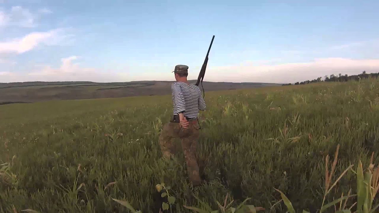 охота на зайца в ставропольском крае