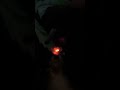Bong Rip Bong Rip