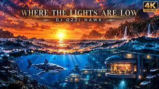 Where The Lights Burn Low   Dj Ozzi Hawk