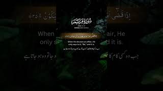 Download Lagu Surah Maryam Ayat 34 - 37 Recitation #islamicvedio #Recitation #quran #ytchannel #reels #viral MP3 Download Lagu Surah Maryam Ayat 34 - 37 Recitation #islamicvedio #Recitation #quran #ytchannel #reels #viral MP3