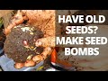 How to Make Seed Bombs | How to Use Old Seeds