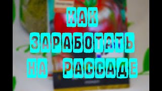 Как заработать на рассаде. Рассада Помидор.