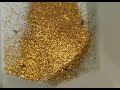 Gold Prospecting on the North Saskatchewan River