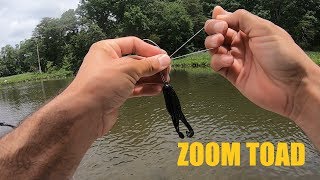 Zoom Horny Toad - Finesse Topwater For Finicky Bass screenshot 4