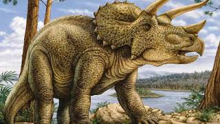 Triceratops - INFORMACION TOTAL 2017