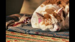 Peaceful Sleep Music for Stress Relief and Emotional Healing