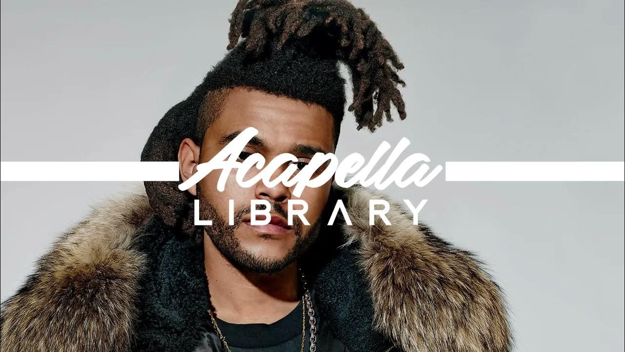 The Weeknd, Playboi Carti, Madonna - Popular (Karaoke - Instrumentals Only) The Weeknd, Playboi Carti, Madonna - Popular (Karaoke - Instrumentals Only)