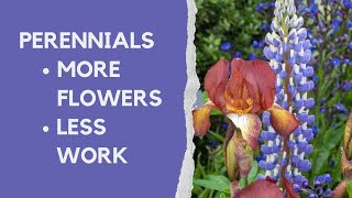 Perennials made easy  how to choose and grow the best plants for your borders