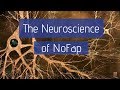The Neuroscience of NoFap | Why Pornography Changes the Brain