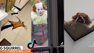 Funny TikToks That Actually Make Me Laugh | TikTok Compilation