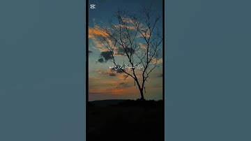 قرآن كريم بصوت الشيخ ياسر الدوسري