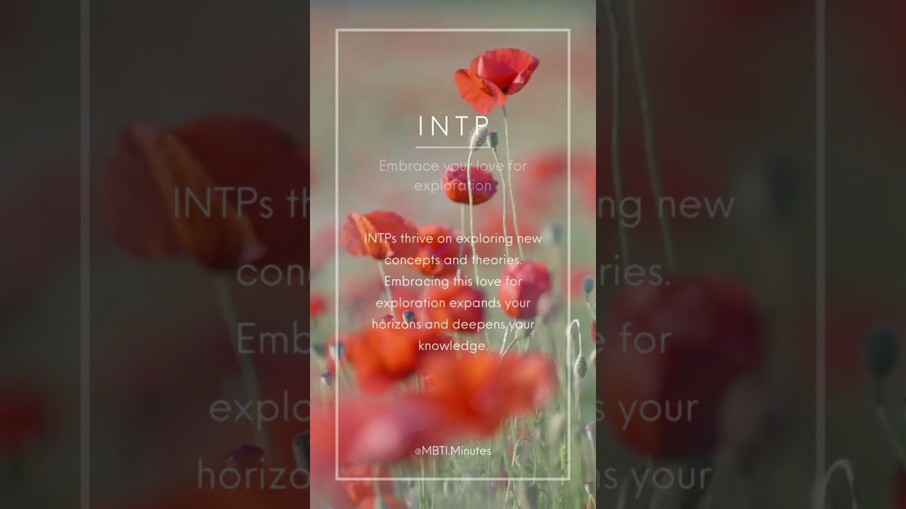 Embrace your love for exploration 