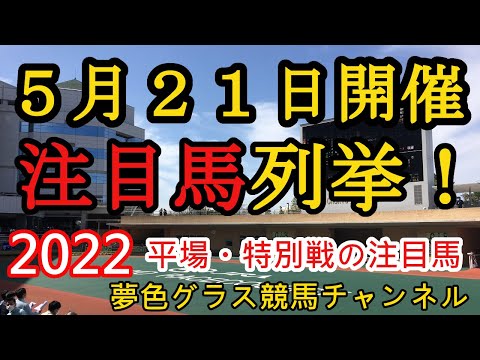 【注目馬列挙・平場予想】2022年5月21日JRA平場特別戦！東京と中京は雨に注意？先週は新潟好調で！