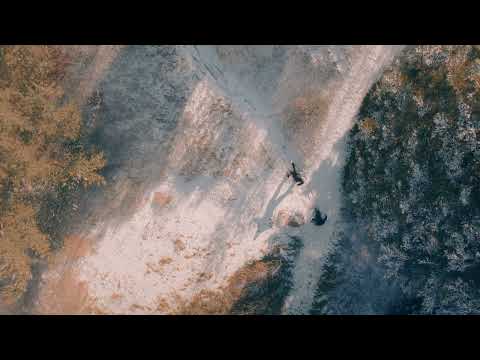 Lydia Ainsworth - Amaryllis Reimagined