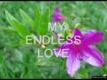 ENDLESS LOVE-LIONEL RICHIE AND...