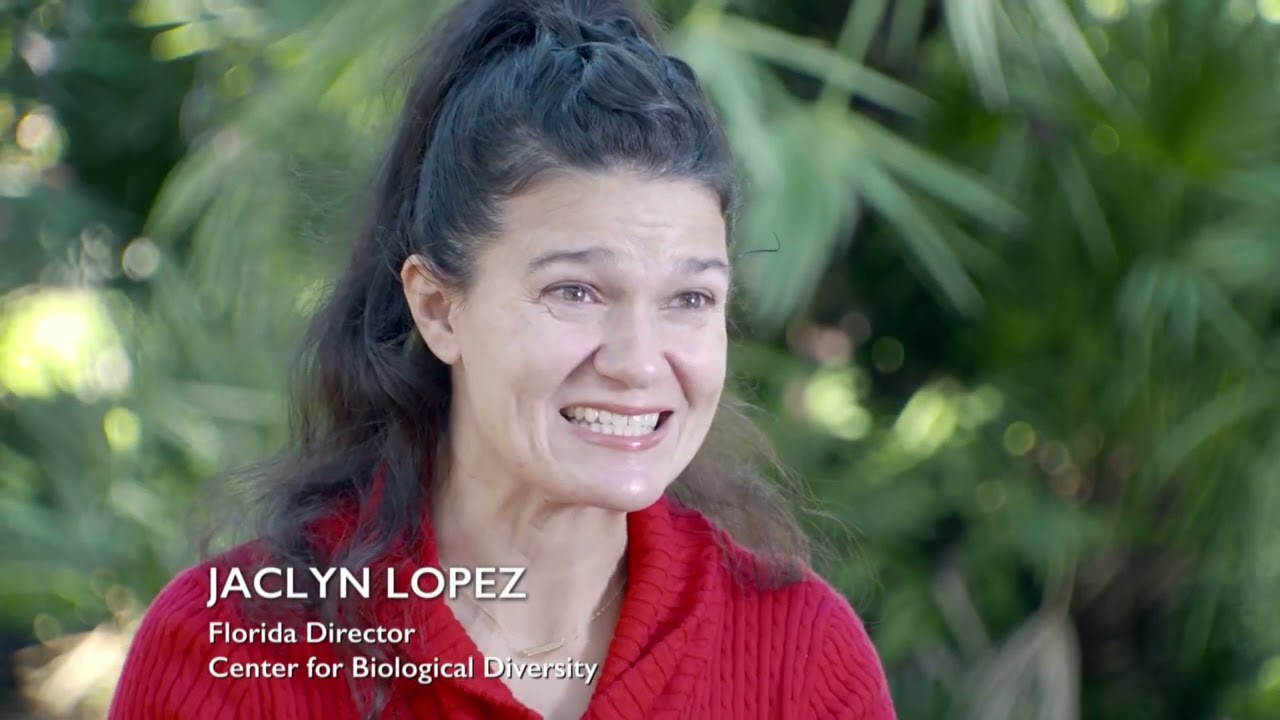 Episode 604 – "FROM BATS TO BLOOMS"