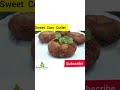 Click httpsyoutubet8r1kofdbqo for full recipe  subscribe  our channel  for moresshorts