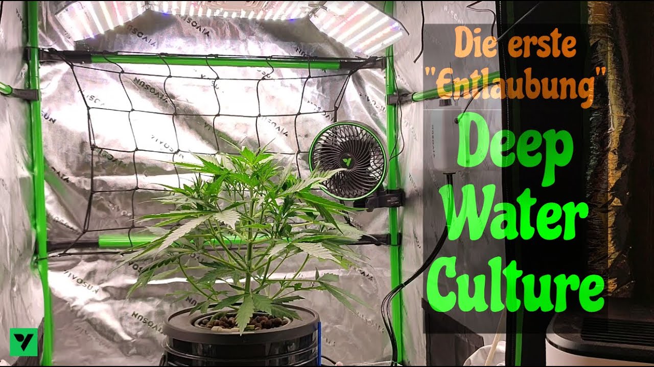 DWC - Folge 4 - Die erste 