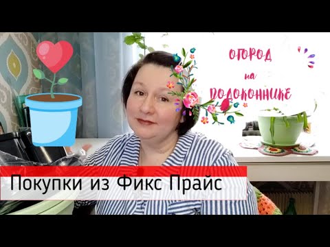 Покупки из Фикс