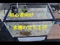 初心者　メダカ水槽立ち上げ①　透明な水を作るMedaka fish tank　Killifish　Aquarium launch