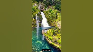 تلاوة خاشعة من سورة الزخرف الآية٣١بصوت #سعد_الغامدي#حالات_واتس #القرآن #القريتين #عظيم #يقسمون #رحمت