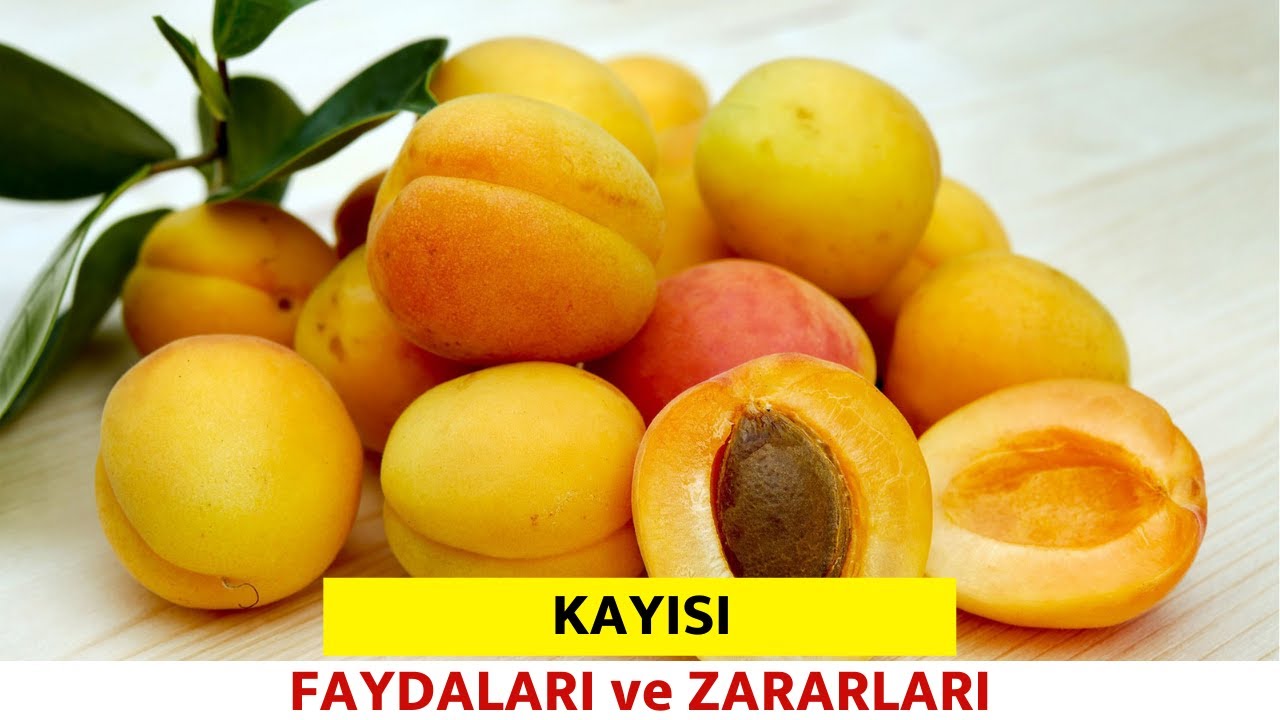 Kayısının faydaları nelerdir? Kayısı zayıflatır mı? Pratik Yemek Tariflerim