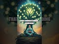 The Journey to Cosmic Wisdom and Higher Consciousness