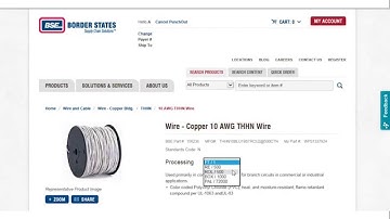 Conducting Procurement Punchout on Border States Electric