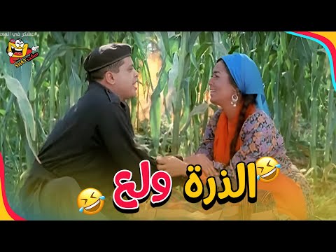 الحب ولع في الذرة إجرى قبل ما يفوتك عسكر في المعسكر