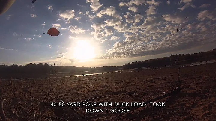 40-50 yard goose poke with duck loads