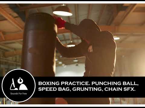 Sound Effects Boxing SFX Punching Bag Speed Bag Chain Grunting