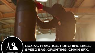 Sound Effects - Boxing SFX. Punching bag, speed, bag, chain, grunting.