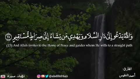 تلاوة هادئة وخاشعة / أحمد النفيس " والله يدعو إلى دار السلام "