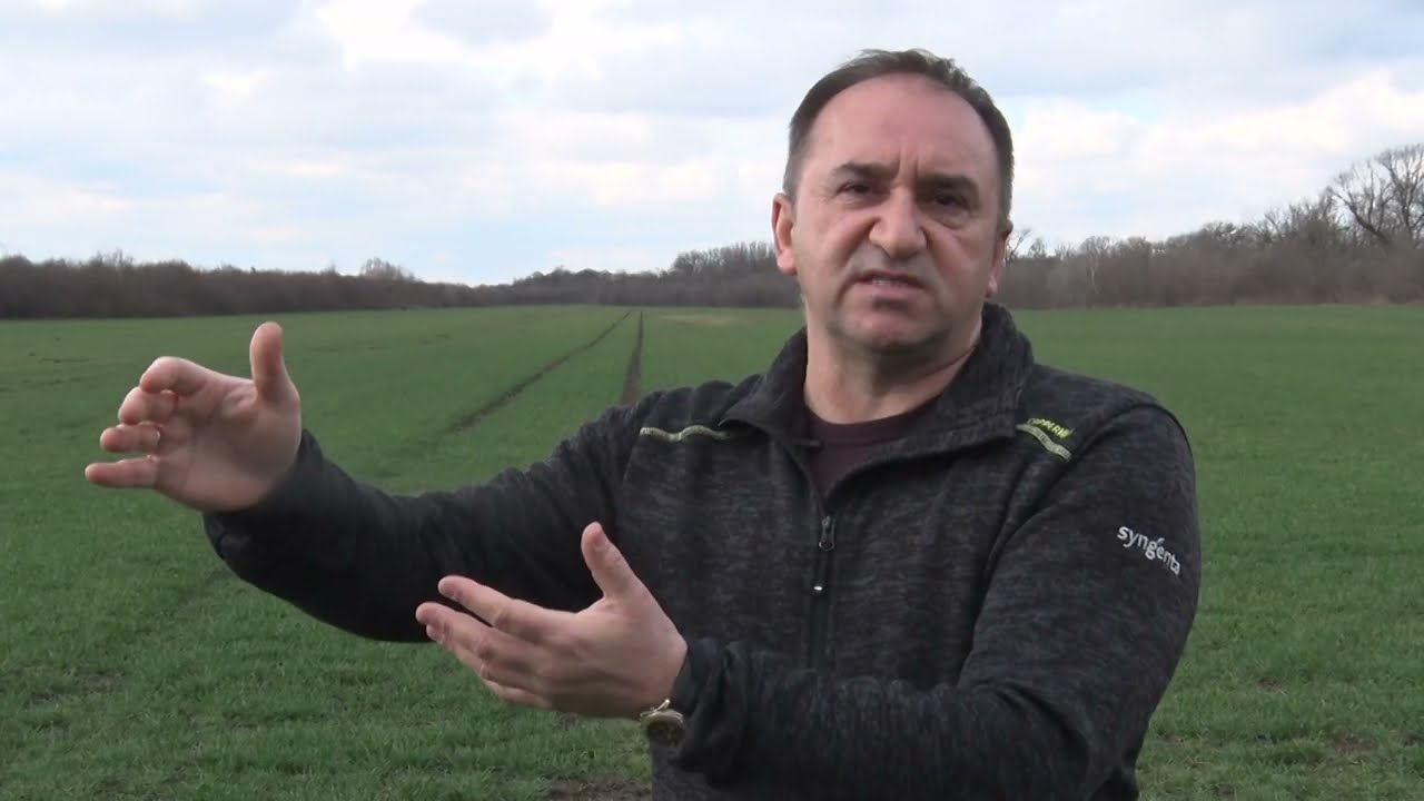 PREPORUKE ZA VISOK PRINOS - pšenica