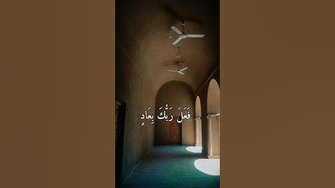 أَلَمْ تَرَى كَيْفَ فَعَلَ رَبّكَ بِعَادٍ 🤎حالات واتس اب قرآن كريم تلاوة مؤثرة بصوت جميل Quran ⚘️