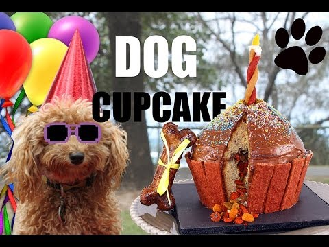 dog-cupcakes!-giant-puppy-dog-cupcake-with-mycupcakeaddiction---diy-dog-food-by-cooking-for-dogs