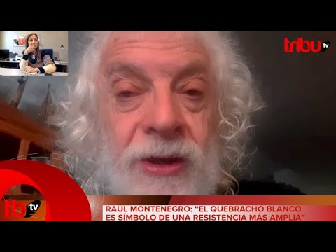 RAÚL MONTENEGRO: “EL QUEBRACHO BLANCO ES SÍMBOLO DE UNA RESISTENCIA MÁS AMPLIA”