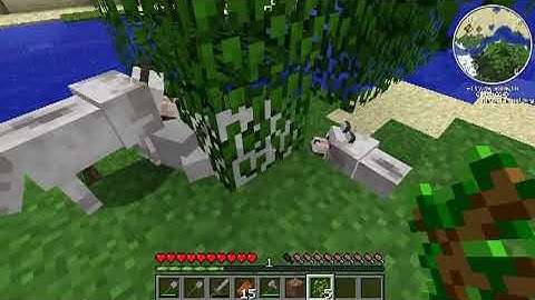 MACHINE CUT - Craftmine1000