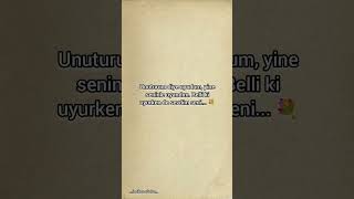 Unuturum Diye Uyudum, Yine Seninle Uyandım. Belli Ki Uyurken De Sevdim Seni..