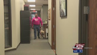 Ex-Marine awarded $28K in service dog discrimination case