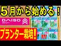 【ダイソー】100均で始める家庭菜園!コスパ最強の野菜をご紹介!