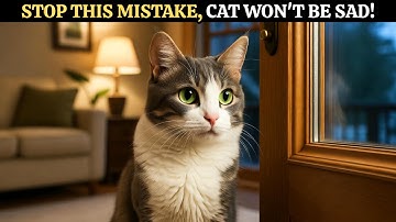 Why Does Your Cat Watch You Leave With Sad Eyes?